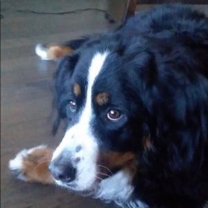 Meet your Posher, Ely